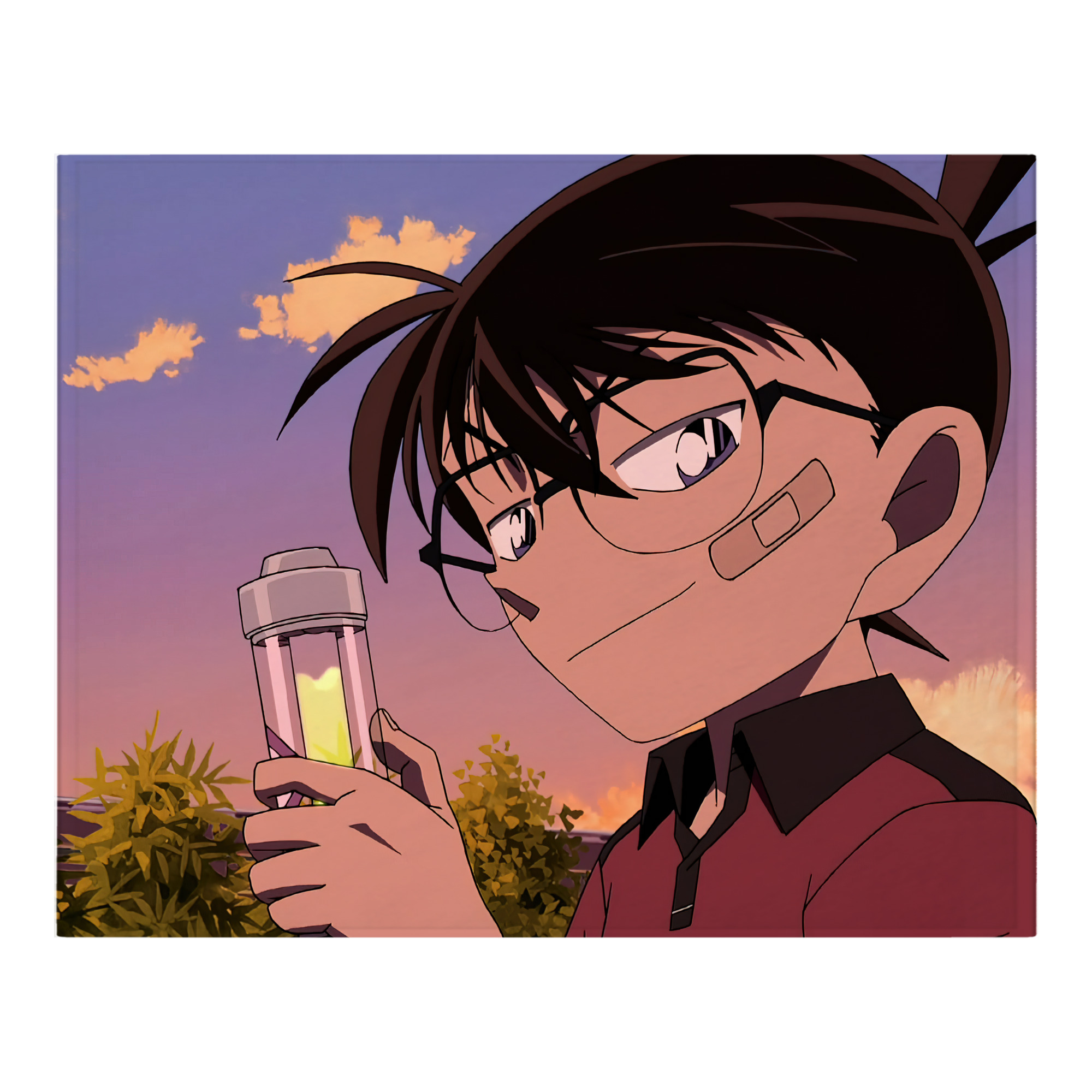 （画像用） 名探偵コナン Detective Conan フランネルブランケット・多サイズ対応（横型）